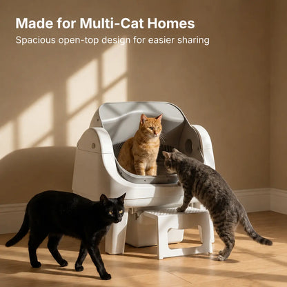 Open-Top Automatic Self-Cleaning Cat Litter Box – Easy-Entry Front Step, Triple Safety Protection, No App Required