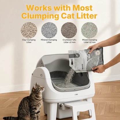 Open-Top Automatic Self-Cleaning Cat Litter Box – Easy-Entry Front Step, Triple Safety Protection, No App Required